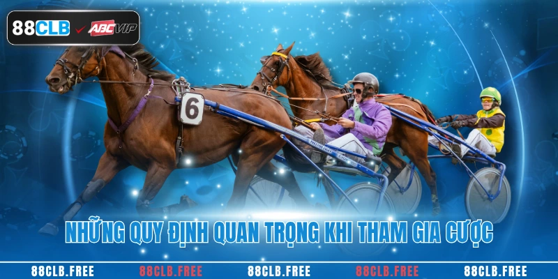 Cá Cược Đua Ngựa Chuẩn Xác Nhất Mỗi Ngày Tại 88CLB 4 Những quy định quan trọng khi tham gia cược