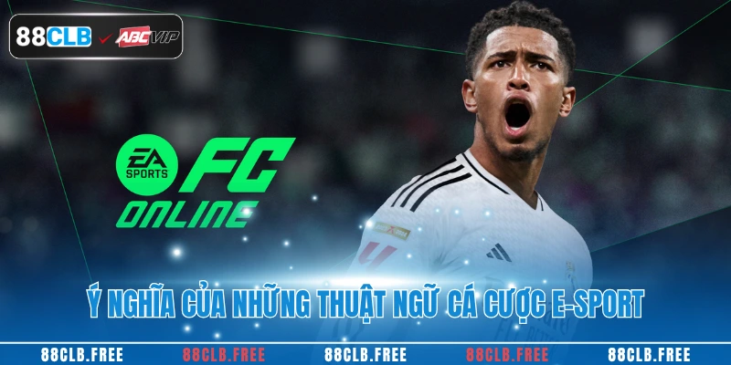 15 Thuật Ngữ Cá Cược E-Sport Quan Trọng Nhất Tại 88CLB 2 Ý nghĩa của những thuật ngữ cá cược e-sport